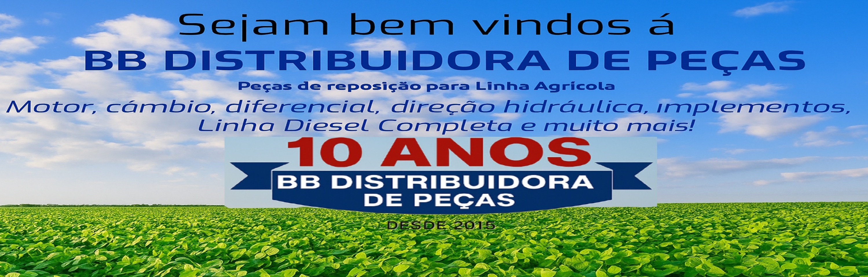 cabeçarop dp sote.jpg